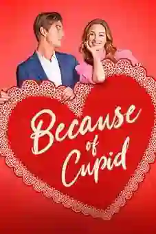 Because of Cupid 2026
